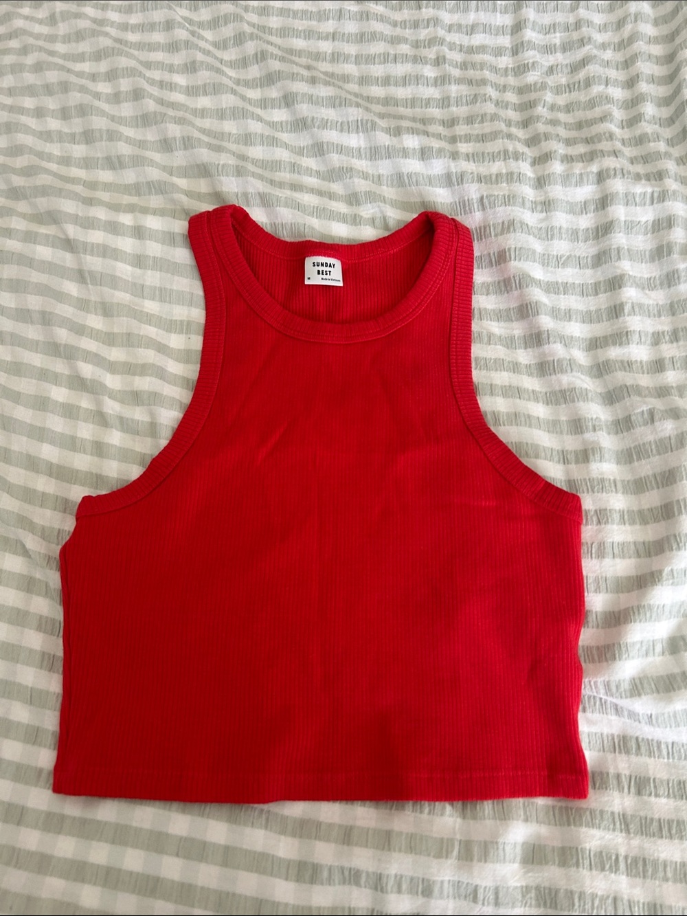Sunday Best Ribbed Honor Tank